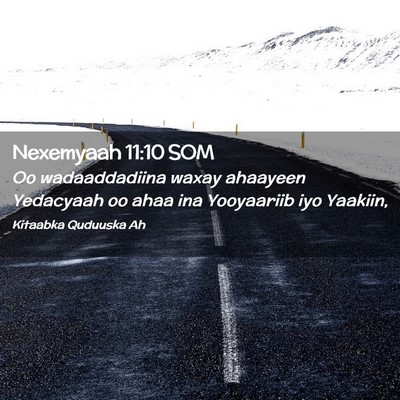 Picture 02 - Nexemyaah 11:10 SOM - Oo wadaaddadiina waxay ahaayeen Yedacyaah oo ahaa - Bible Verse Picture