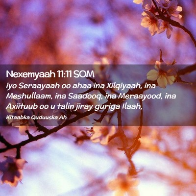 Picture 02 - Nexemyaah 11:11 SOM - iyo Seraayaah oo ahaa ina Xilqiyaah, ina - Bible Verse Picture
