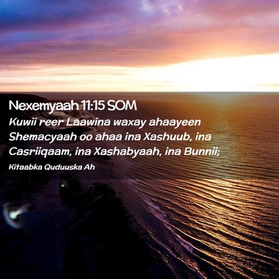Picture 02 - Nexemyaah 11:15 SOM - Kuwii reer Laawina waxay ahaayeen Shemacyaah oo - Bible Verse Picture