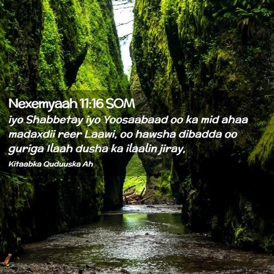 Picture 02 - Nexemyaah 11:16 SOM - iyo Shabbetay iyo Yoosaabaad oo ka mid ahaa - Bible Verse Picture