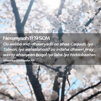 Picture 02 - Nexemyaah 11:19 SOM - Oo weliba irid-dhawryadii oo ahaa Caquub, iyo - Bible Verse Picture