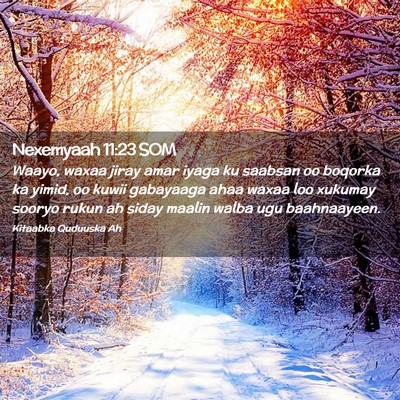 Picture 02 - Nexemyaah 11:23 SOM - Waayo, waxaa jiray amar iyaga ku saabsan oo - Bible Verse Picture