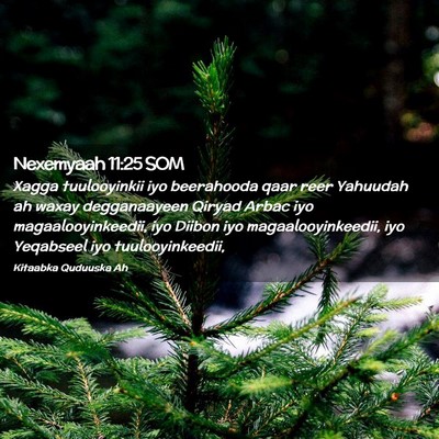 Picture 02 - Nexemyaah 11:25 SOM - Xagga tuulooyinkii iyo beerahooda qaar reer - Bible Verse Picture