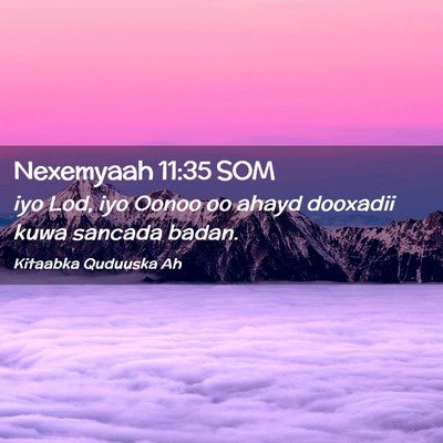 Picture 02 - Nexemyaah 11:35 SOM - iyo Lod, iyo Oonoo oo ahayd dooxadii kuwa sancada - Bible Verse Picture