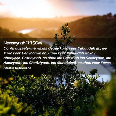 Picture 02 - Nexemyaah 11:4 SOM - Oo Yeruusaalemna waxaa degay kuwo reer Yahuudah - Bible Verse Picture