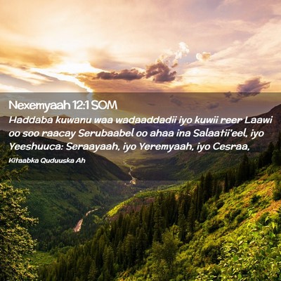 Picture 02 - Nexemyaah 12:1 SOM - Haddaba kuwanu waa wadaaddadii iyo kuwii reer - Bible Verse Picture
