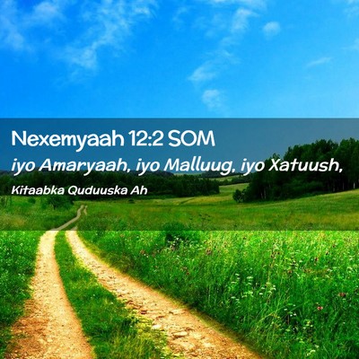 Picture 02 - Nexemyaah 12:2 SOM - iyo Amaryaah, iyo Malluug, iyo - Bible Verse Picture