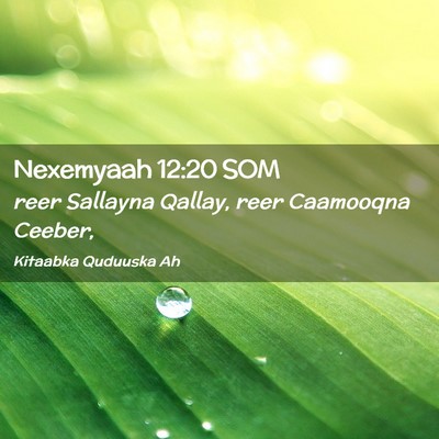 Picture 02 - Nexemyaah 12:20 SOM - reer Sallayna Qallay, reer Caamooqna - Bible Verse Picture