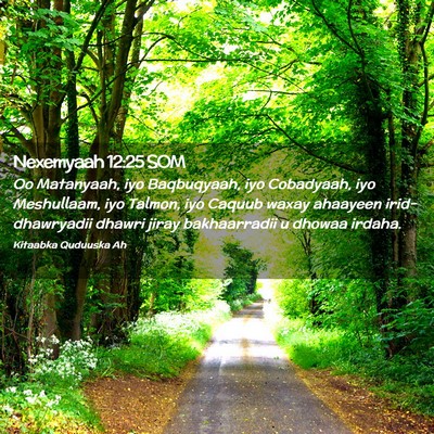 Picture 02 - Nexemyaah 12:25 SOM - Oo Matanyaah, iyo Baqbuqyaah, iyo Cobadyaah, iyo - Bible Verse Picture