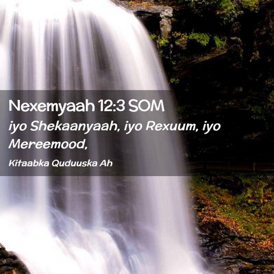 Picture 02 - Nexemyaah 12:3 SOM - iyo Shekaanyaah, iyo Rexuum, iyo - Bible Verse Picture