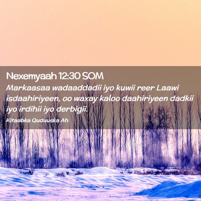 Picture 02 - Nexemyaah 12:30 SOM - Markaasaa wadaaddadii iyo kuwii reer Laawi - Bible Verse Picture