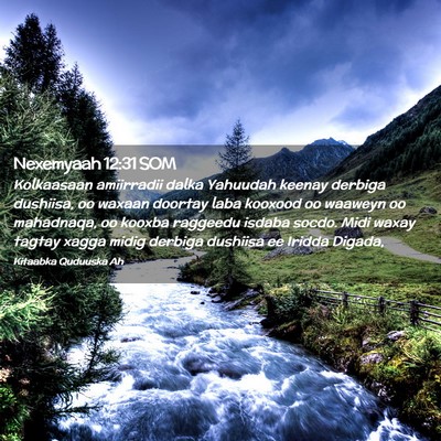 Picture 02 - Nexemyaah 12:31 SOM - Kolkaasaan amiirradii dalka Yahuudah keenay - Bible Verse Picture