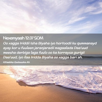 Picture 02 - Nexemyaah 12:37 SOM - Oo xagga Iriddii Isha Biyaha iyo hortoodii ku - Bible Verse Picture