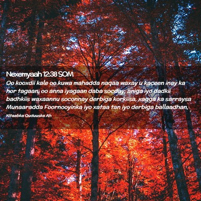 Picture 02 - Nexemyaah 12:38 SOM - Oo kooxdii kale oo kuwa mahadda naqaa waxay u - Bible Verse Picture
