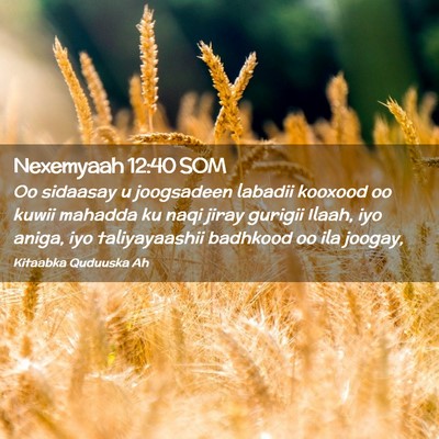 Picture 02 - Nexemyaah 12:40 SOM - Oo sidaasay u joogsadeen labadii kooxood oo kuwii - Bible Verse Picture