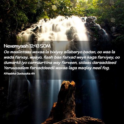 Picture 02 - Nexemyaah 12:43 SOM - Oo maalintaas waxaa la bixiyey allabaryo badan, - Bible Verse Picture