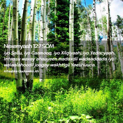 Picture 02 - Nexemyaah 12:7 SOM - iyo Sallu, iyo Caamooq, iyo Xilqiyaah, iyo - Bible Verse Picture