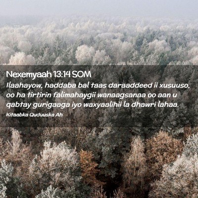 Picture 02 - Nexemyaah 13:14 SOM - Ilaahayow, haddaba bal taas daraaddeed ii - Bible Verse Picture