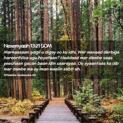 Picture 02 - Nexemyaah 13:21 SOM - Markaasaan iyagii u digay oo ku idhi, War maxaad - Bible Verse Picture