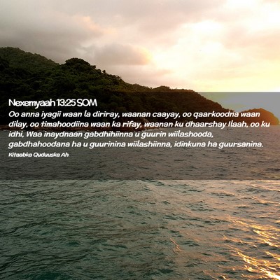Picture 02 - Nexemyaah 13:25 SOM - Oo anna iyagii waan la diriray, waanan caayay, oo - Bible Verse Picture