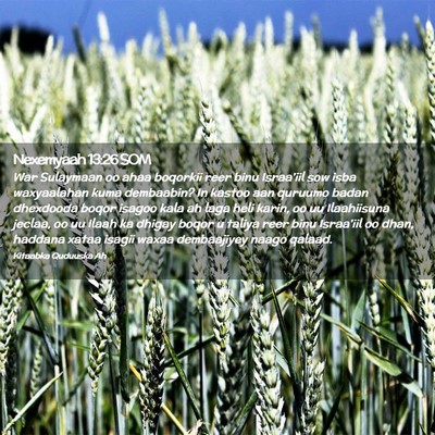 Picture 02 - Nexemyaah 13:26 SOM - War Sulaymaan oo ahaa boqorkii reer binu - Bible Verse Picture