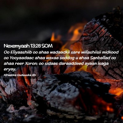 Picture 02 - Nexemyaah 13:28 SOM - Oo Eliyaashiib oo ahaa wadaadkii sare - Bible Verse Picture