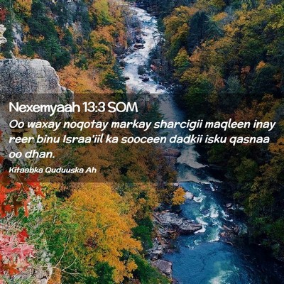 Picture 02 - Nexemyaah 13:3 SOM - Oo waxay noqotay markay sharcigii maqleen inay - Bible Verse Picture
