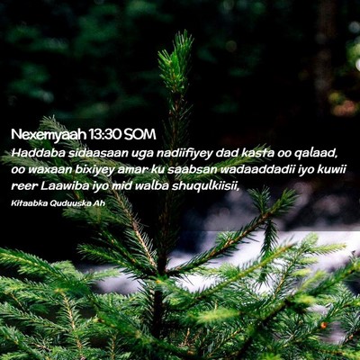 Picture 02 - Nexemyaah 13:30 SOM - Haddaba sidaasaan uga nadiifiyey dad kasta oo - Bible Verse Picture
