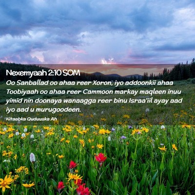 Picture 02 - Nexemyaah 2:10 SOM - Oo Sanballad oo ahaa reer Xoron, iyo addoonkii - Bible Verse Picture