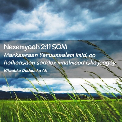 Picture 02 - Nexemyaah 2:11 SOM - Markaasaan Yeruusaalem imid, oo halkaasaan saddex - Bible Verse Picture