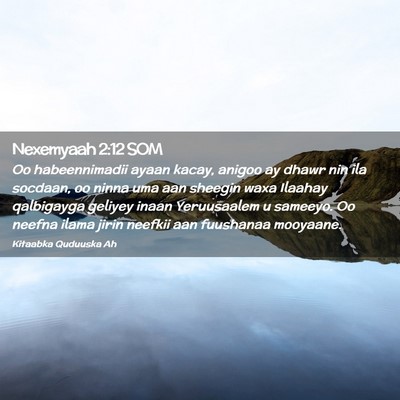Picture 02 - Nexemyaah 2:12 SOM - Oo habeennimadii ayaan kacay, anigoo ay dhawr nin - Bible Verse Picture