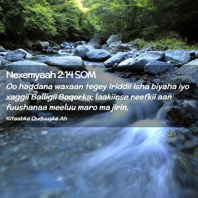 Picture 02 - Nexemyaah 2:14 SOM - Oo haddana waxaan tegey Iriddii Isha biyaha iyo - Bible Verse Picture