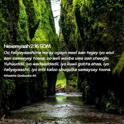 Picture 02 - Nexemyaah 2:16 SOM - Oo taliyayaashiina ma ay ogayn meel aan tegey iyo - Bible Verse Picture