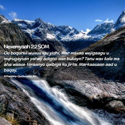 Picture 02 - Nexemyaah 2:2 SOM - Oo boqorkii wuxuu igu yidhi, War maxaa wejigaagu - Bible Verse Picture