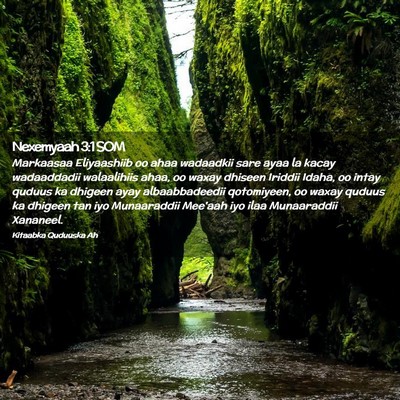 Picture 02 - Nexemyaah 3:1 SOM - Markaasaa Eliyaashiib oo ahaa wadaadkii sare ayaa - Bible Verse Picture