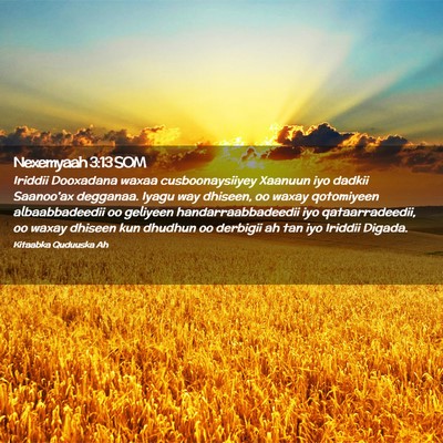 Picture 02 - Nexemyaah 3:13 SOM - Iriddii Dooxadana waxaa cusboonaysiiyey Xaanuun - Bible Verse Picture