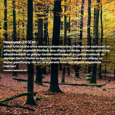 Picture 02 - Nexemyaah 3:15 SOM - Iriddii Isha biyaha ahna waxaa cusboonaysiiyey - Bible Verse Picture