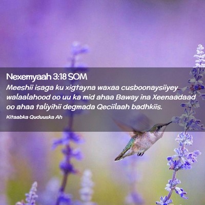 Picture 02 - Nexemyaah 3:18 SOM - Meeshii isaga ku xigtayna waxaa cusboonaysiiyey - Bible Verse Picture