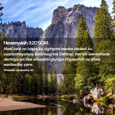 Picture 02 - Nexemyaah 3:20 SOM - Meel kale oo isaga ku xigtayna waxaa dadaal ku - Bible Verse Picture