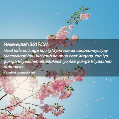 Picture 02 - Nexemyaah 3:21 SOM - Meel kale oo isaga ku xigtayna waxaa - Bible Verse Picture
