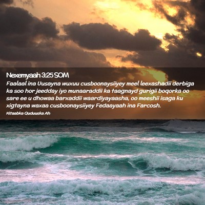 Picture 02 - Nexemyaah 3:25 SOM - Faalaal ina Uusayna wuxuu cusboonaysiiyey meel - Bible Verse Picture