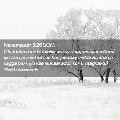 Picture 02 - Nexemyaah 3:26 SOM - (Haddaba reer Netiiniim waxay degganaayeen Cofel - Bible Verse Picture