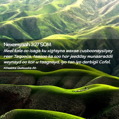 Picture 02 - Nexemyaah 3:27 SOM - Meel kale oo isaga ku xigtayna waxaa - Bible Verse Picture