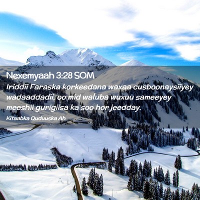Picture 02 - Nexemyaah 3:28 SOM - Iriddii Faraska korkeedana waxaa cusboonaysiiyey - Bible Verse Picture