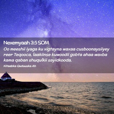 Picture 02 - Nexemyaah 3:5 SOM - Oo meeshii iyaga ku xigtayna waxaa - Bible Verse Picture