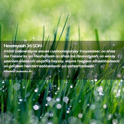 Picture 02 - Nexemyaah 3:6 SOM - Iriddii Gabowdayna waxaa cusboonaysiiyey - Bible Verse Picture