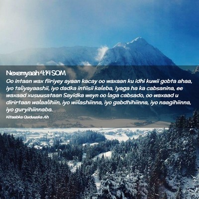 Picture 02 - Nexemyaah 4:14 SOM - Oo intaan wax fiiriyey ayaan kacay oo waxaan ku - Bible Verse Picture
