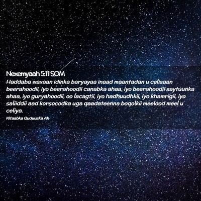 Picture 02 - Nexemyaah 5:11 SOM - Haddaba waxaan idinka baryayaa inaad maantadan u - Bible Verse Picture