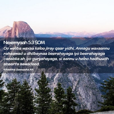 Picture 02 - Nexemyaah 5:3 SOM - Oo weliba waxaa kaloo jiray qaar yidhi, Annagu - Bible Verse Picture