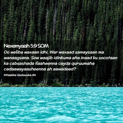 Picture 02 - Nexemyaah 5:9 SOM - Oo weliba waxaan idhi, War waxaad samaysaan ma - Bible Verse Picture